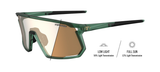 Forest Vapor Frame - Clarion Gold Fototec