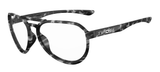 Black Tortoise