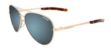 Gold Frame - Smoke Tint with Bright Blue Mirror